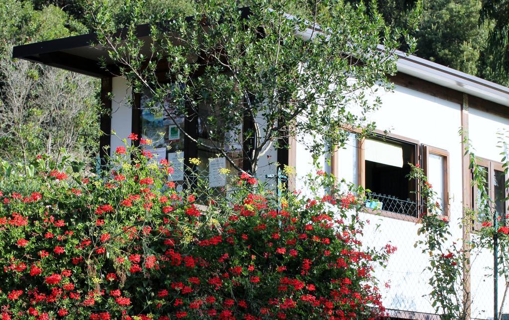 Elbadoc Camping Village Cavo Exterior foto